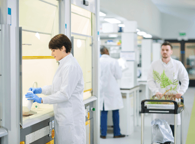 Fume Hoods and Safety Cabinets