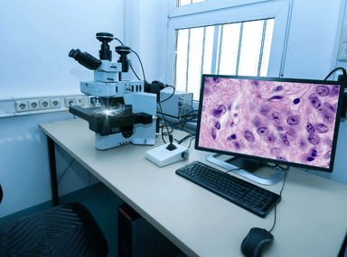 Laboratory Benches & Workstations