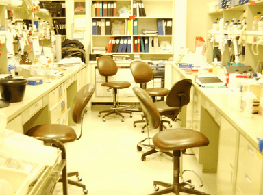 Laboratory Seating