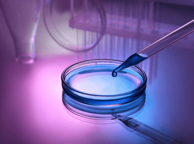 Molecular Biology Reagents