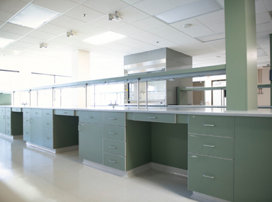 Laboratory Cabinets & Storage Solutions